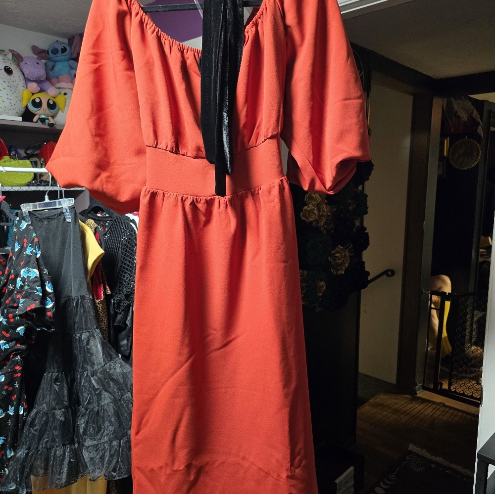 Eva Dress In Color Pumpkin - Picture 2 of 4